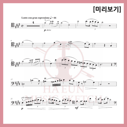 [Duo] Chopin - Nocturne Op. Poth in c# minor Sheet music Violin Viola Cello